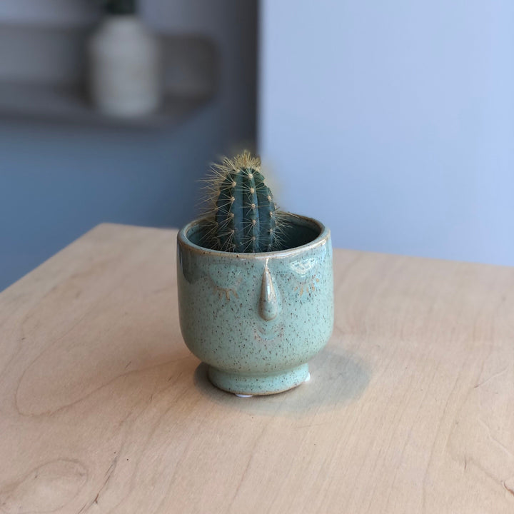 Cactus - 1.5 in