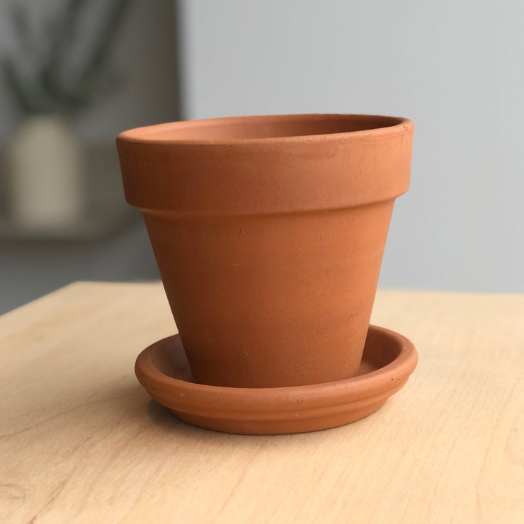Terracotta planter with saucer - 6 in