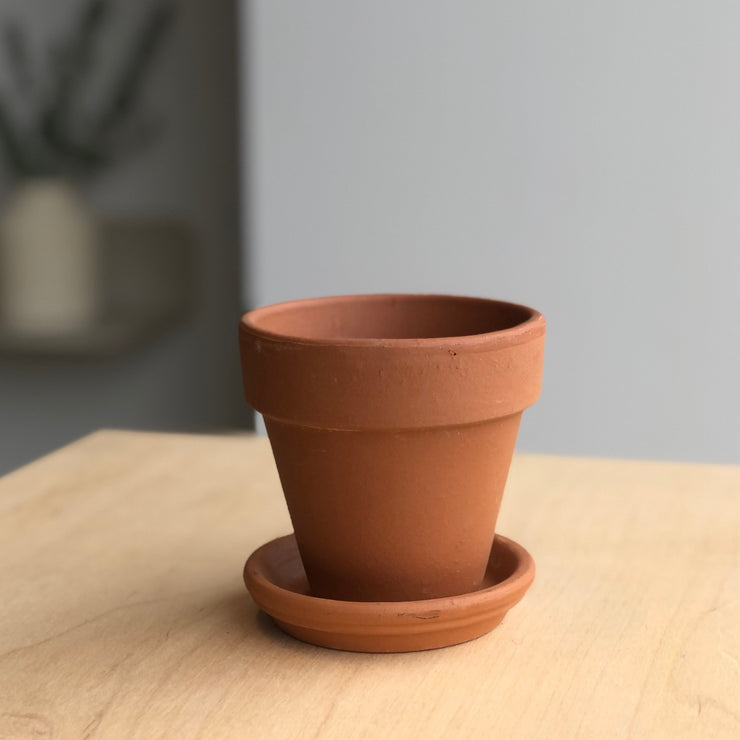 Terracotta plant pot with saucer - 3.5 in
